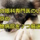 犬の眼科専門医のいる東京の動物病院を７つ厳選